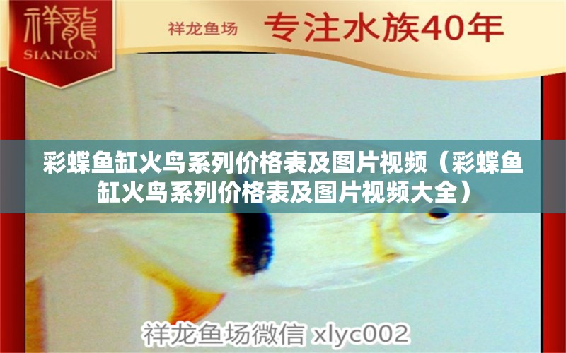 彩蝶魚缸火鳥系列價格表及圖片視頻（彩蝶魚缸火鳥系列價格表及圖片視頻大全） 印尼小紅龍