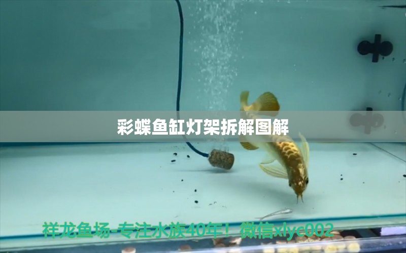 彩蝶魚(yú)缸燈架拆解圖解