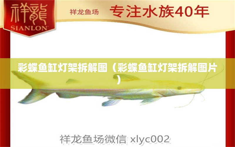 彩蝶魚缸燈架拆解圖（彩蝶魚缸燈架拆解圖片）