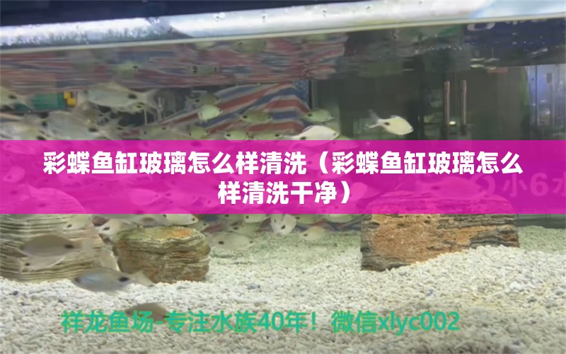 彩蝶魚缸玻璃怎么樣清洗（彩蝶魚缸玻璃怎么樣清洗干凈）