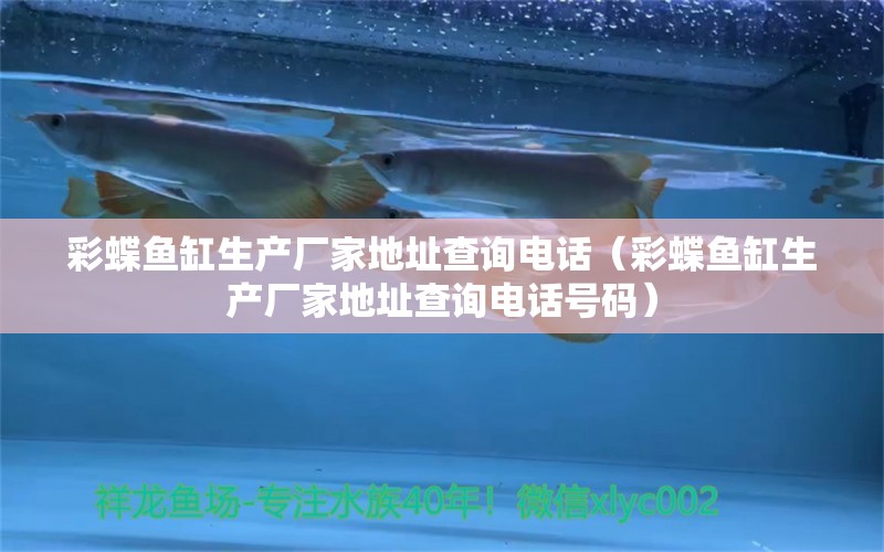 彩蝶魚缸生產(chǎn)廠家地址查詢電話（彩蝶魚缸生產(chǎn)廠家地址查詢電話號碼）