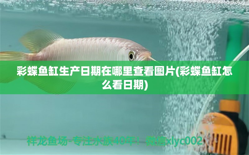 彩蝶魚缸生產(chǎn)日期在哪里查看圖片(彩蝶魚缸怎么看日期) 觀賞魚飼料