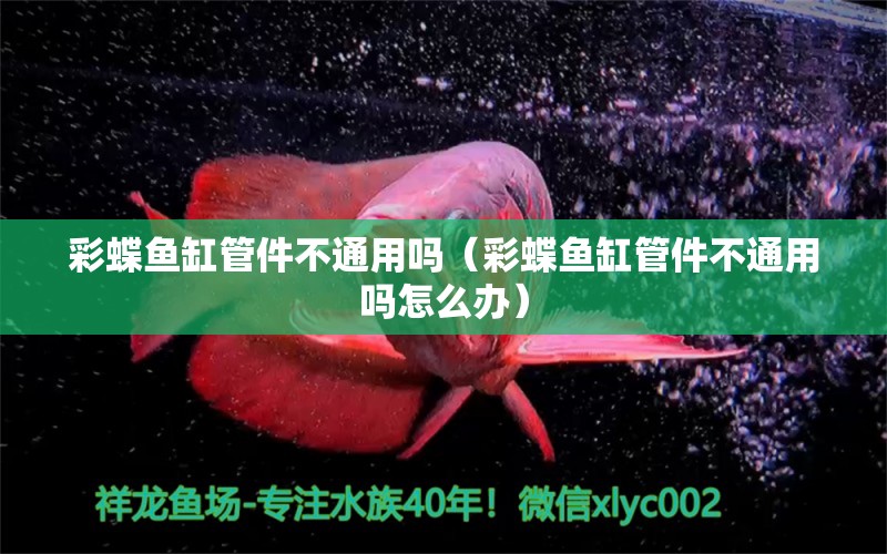 彩蝶魚缸管件不通用嗎（彩蝶魚缸管件不通用嗎怎么辦）