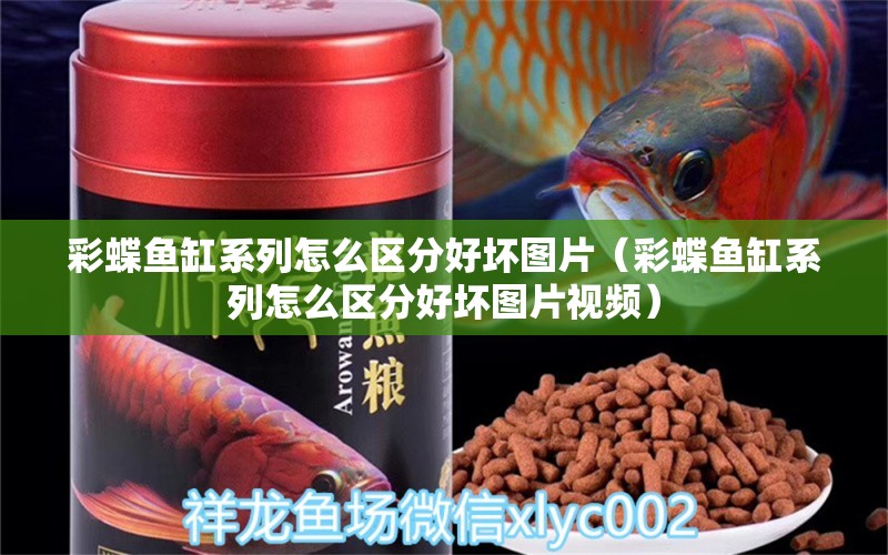 彩蝶魚(yú)缸系列怎么區(qū)分好壞圖片（彩蝶魚(yú)缸系列怎么區(qū)分好壞圖片視頻）