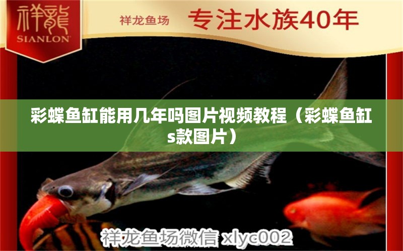 彩蝶魚缸能用幾年嗎圖片視頻教程（彩蝶魚缸s款圖片）