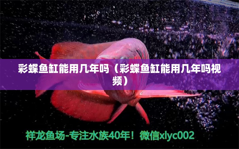 彩蝶魚缸能用幾年嗎（彩蝶魚缸能用幾年嗎視頻）