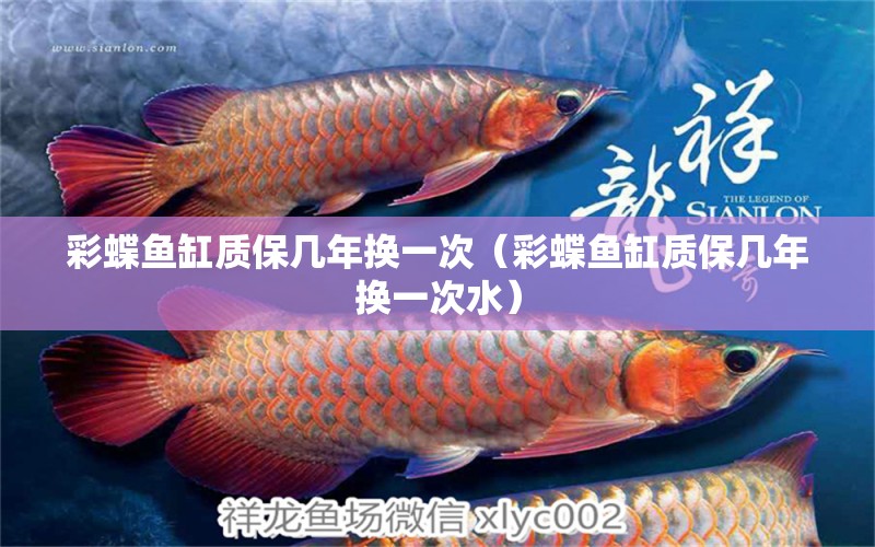 彩蝶魚缸質(zhì)保幾年換一次（彩蝶魚缸質(zhì)保幾年換一次水） 觀賞魚市場(chǎng)（混養(yǎng)魚）