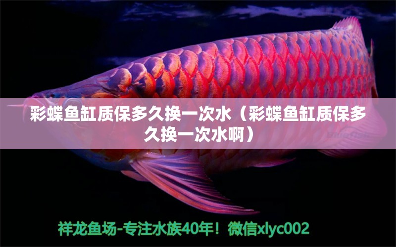 彩蝶魚缸質(zhì)保多久換一次水（彩蝶魚缸質(zhì)保多久換一次水?。?觀賞魚市場（混養(yǎng)魚）