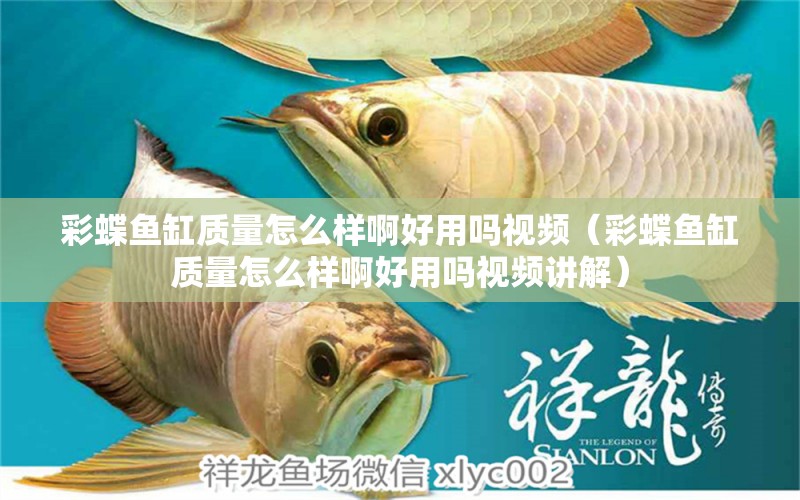 彩蝶魚缸質(zhì)量怎么樣啊好用嗎視頻（彩蝶魚缸質(zhì)量怎么樣啊好用嗎視頻講解）