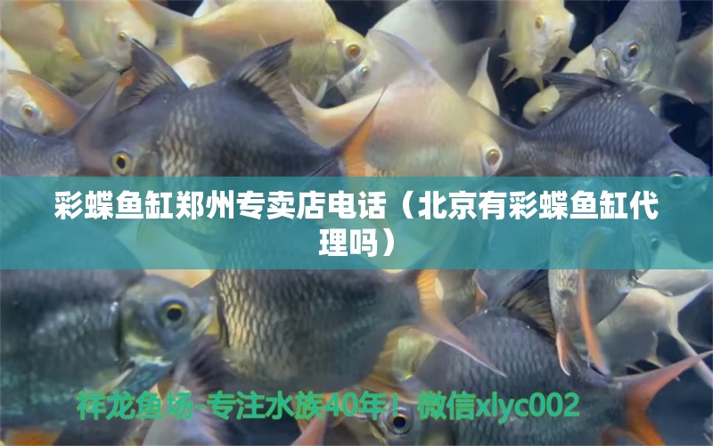 彩蝶魚缸鄭州專賣店電話（北京有彩蝶魚缸代理嗎）