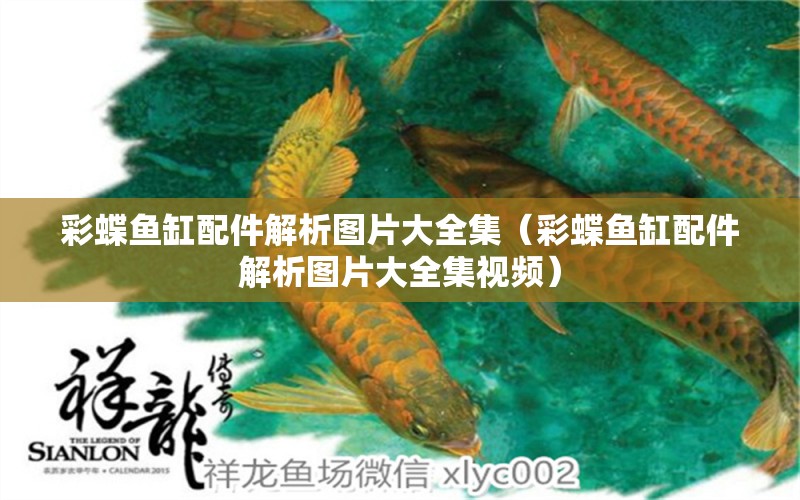 彩蝶魚缸配件解析圖片大全集（彩蝶魚缸配件解析圖片大全集視頻）