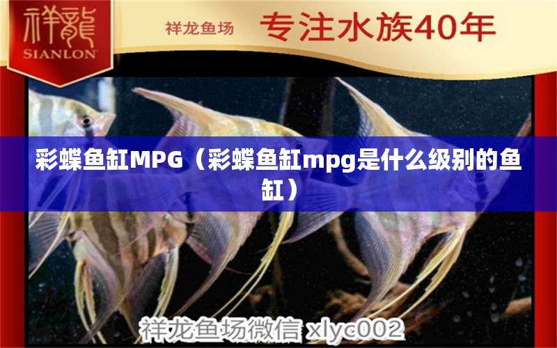 彩蝶魚缸MPG（彩蝶魚缸mpg是什么級別的魚缸）