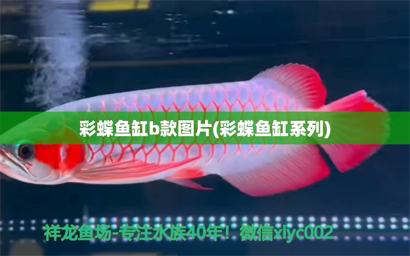 彩蝶魚缸b款圖片(彩蝶魚缸系列)