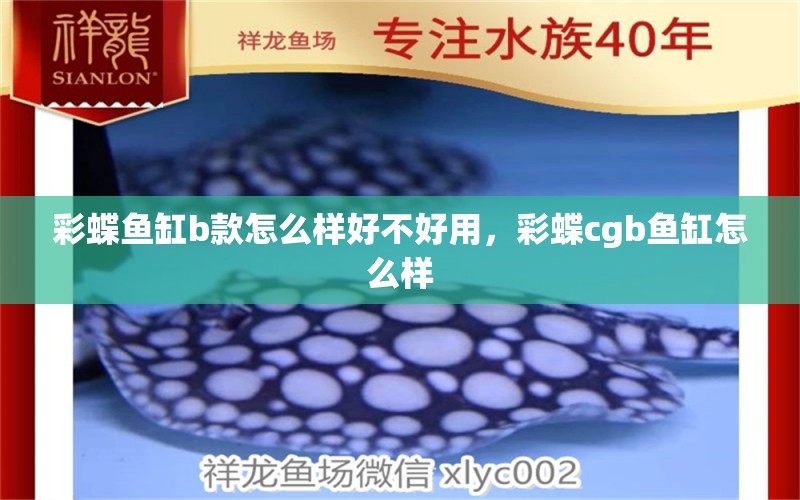 彩蝶魚缸b款怎么樣好不好用，彩蝶cgb魚缸怎么樣