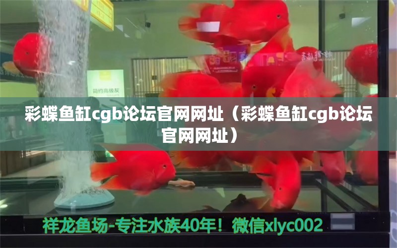 彩蝶魚缸cgb論壇官網(wǎng)網(wǎng)址（彩蝶魚缸cgb論壇官網(wǎng)網(wǎng)址）