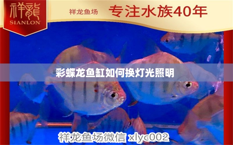 彩蝶龍魚缸如何換燈光照明  龍魚專用燈