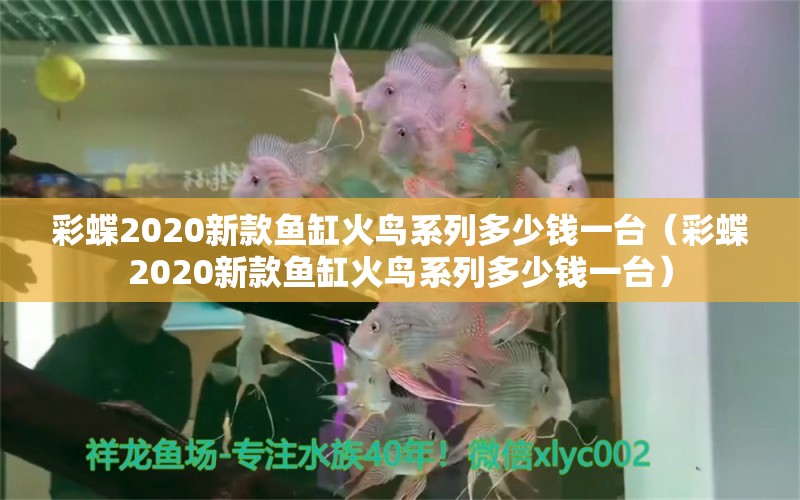 彩蝶2020新款魚缸火鳥系列多少錢一臺（彩蝶2020新款魚缸火鳥系列多少錢一臺） 祥龍魚場