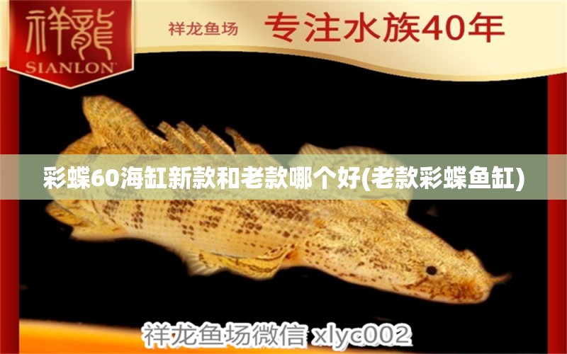 彩蝶60海缸新款和老款哪個(gè)好(老款彩蝶魚(yú)缸) 野彩魚(yú)