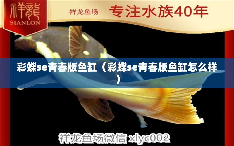 彩蝶se青春版魚缸（彩蝶se青春版魚缸怎么樣） 祥龍水族醫(yī)院