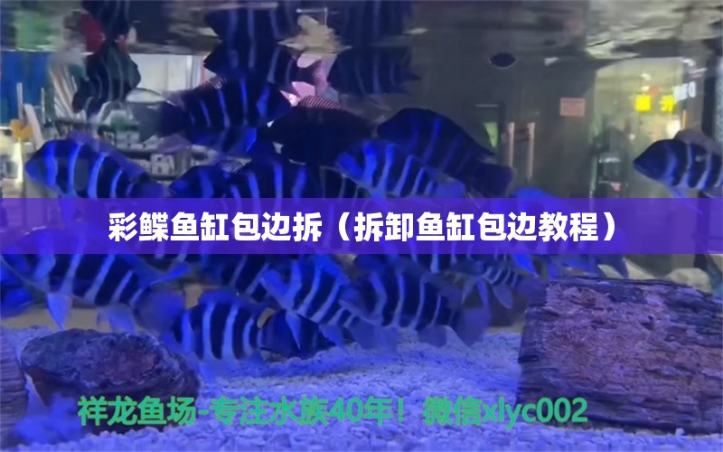 彩鰈魚缸包邊拆（拆卸魚缸包邊教程）