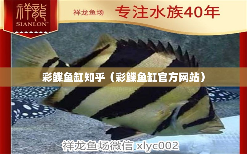 彩鰈魚缸知乎（彩鰈魚缸官方網(wǎng)站）