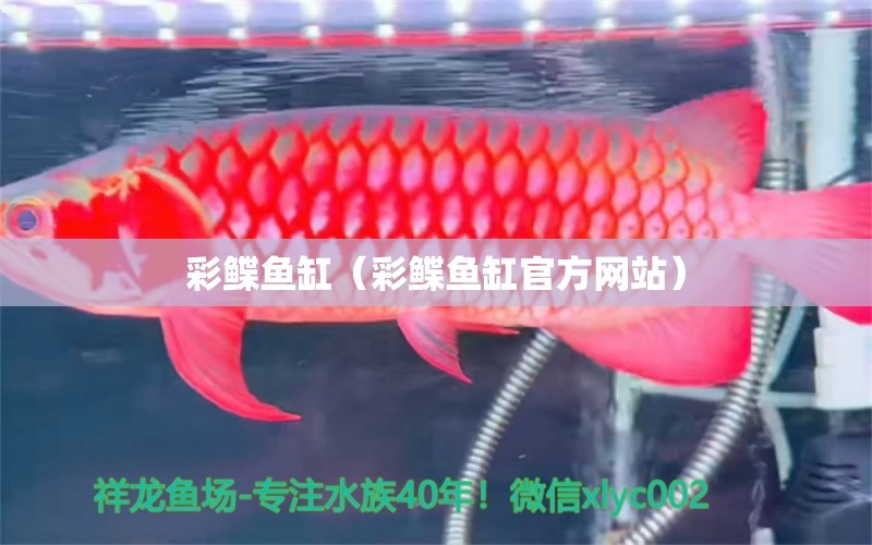 彩鰈魚缸（彩鰈魚缸官方網(wǎng)站）