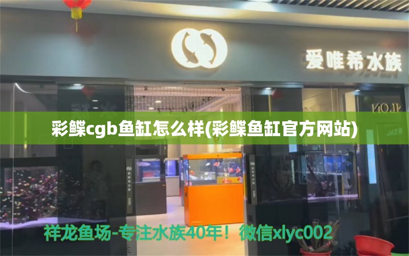 彩鰈cgb魚缸怎么樣(彩鰈魚缸官方網(wǎng)站) 赤焰中國虎魚