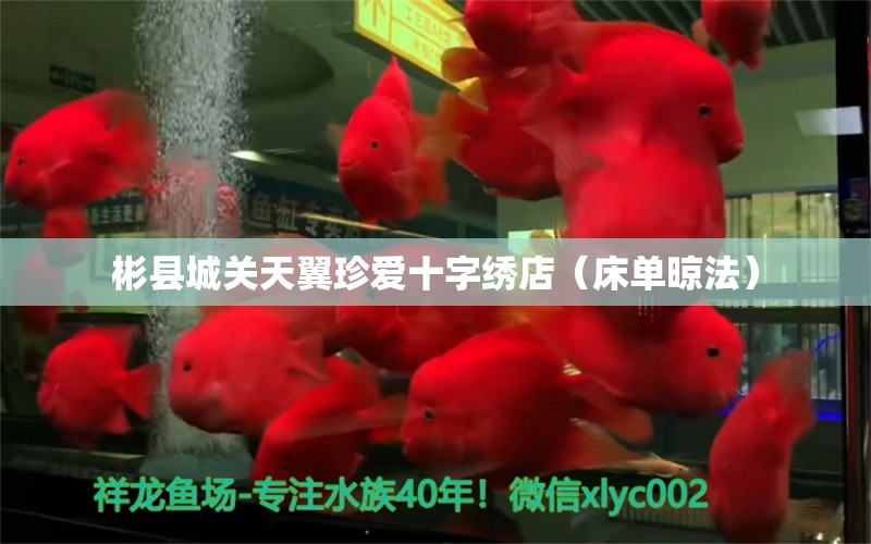 彬縣城關天翼珍愛十字繡店（床單晾法） 全國水族館企業(yè)名錄 第2張