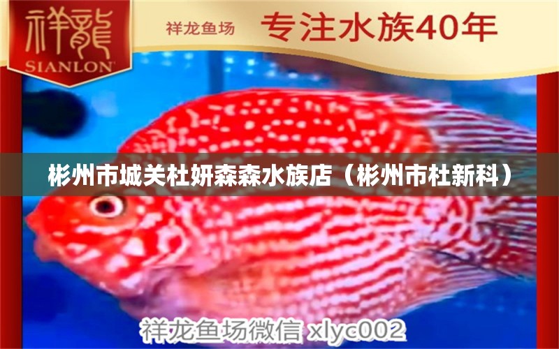 彬州市城關(guān)杜妍森森水族店（彬州市杜新科）