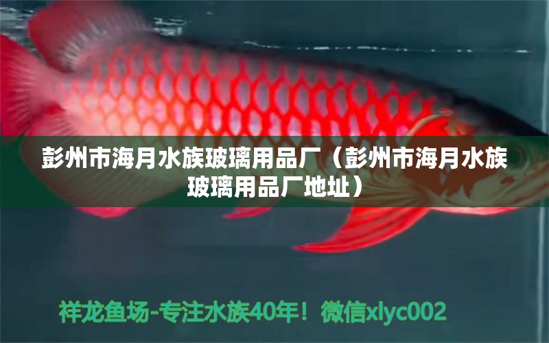 彭州市海月水族玻璃用品廠（彭州市海月水族玻璃用品廠地址）