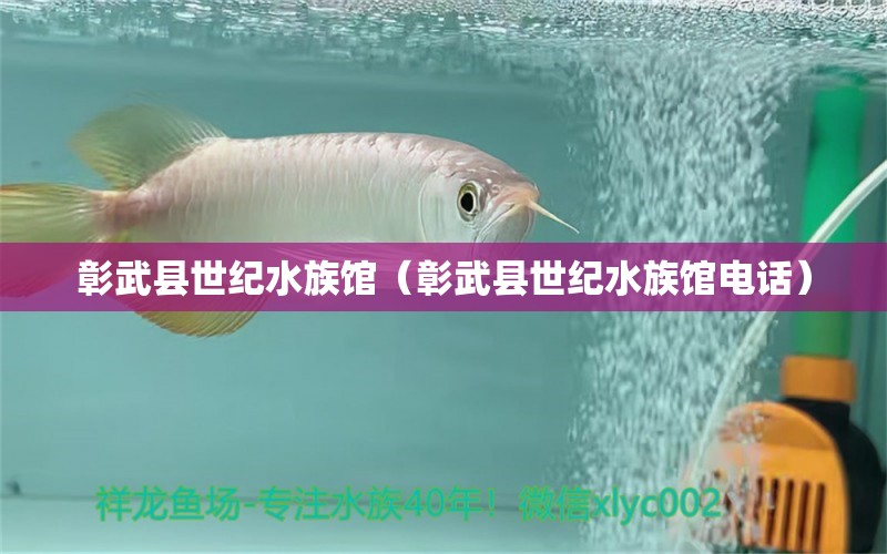 彰武縣世紀(jì)水族館（彰武縣世紀(jì)水族館電話） 全國水族館企業(yè)名錄