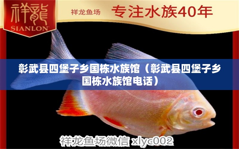 彰武縣四堡子鄉(xiāng)國(guó)棟水族館（彰武縣四堡子鄉(xiāng)國(guó)棟水族館電話） 全國(guó)水族館企業(yè)名錄