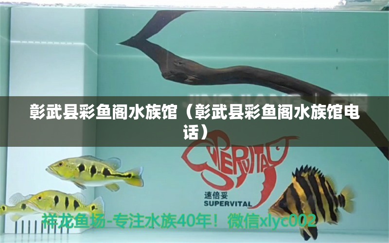 彰武縣彩魚閣水族館（彰武縣彩魚閣水族館電話）