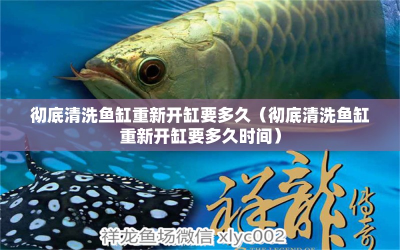 徹底清洗魚缸重新開缸要多久（徹底清洗魚缸重新開缸要多久時間）