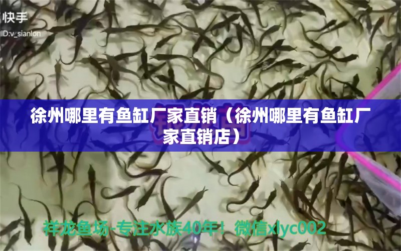 徐州哪里有魚缸廠家直銷（徐州哪里有魚缸廠家直銷店） 觀賞魚市場（混養(yǎng)魚）