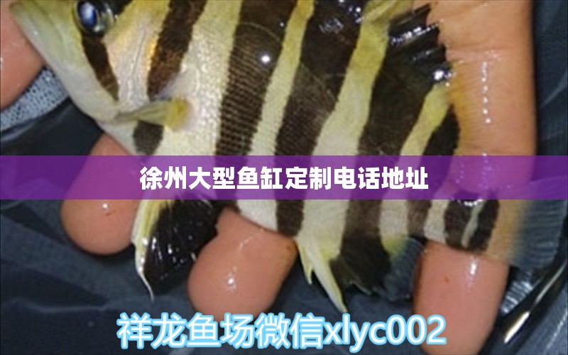 徐州大型魚缸定制電話地址 祥龍魚場(chǎng)