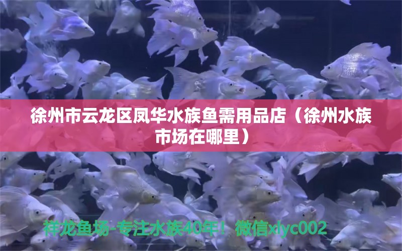 徐州市云龍區(qū)鳳華水族魚需用品店（徐州水族市場在哪里） 全國水族館企業(yè)名錄