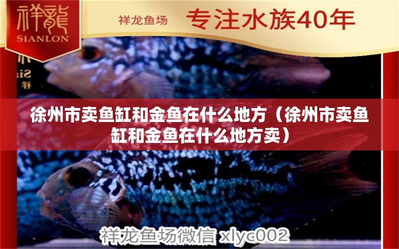 徐州市賣魚缸和金魚在什么地方（徐州市賣魚缸和金魚在什么地方賣） 其他品牌魚缸