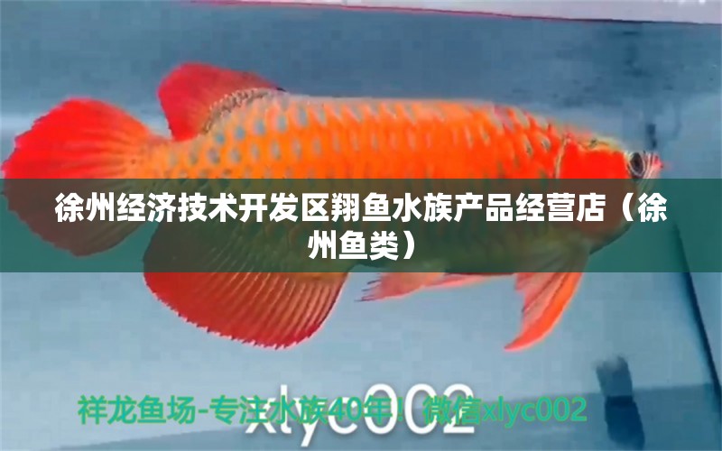 徐州經(jīng)濟技術(shù)開發(fā)區(qū)翔魚水族產(chǎn)品經(jīng)營店（徐州魚類） 全國水族館企業(yè)名錄