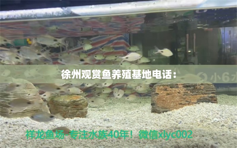 徐州觀賞魚養(yǎng)殖基地電話：