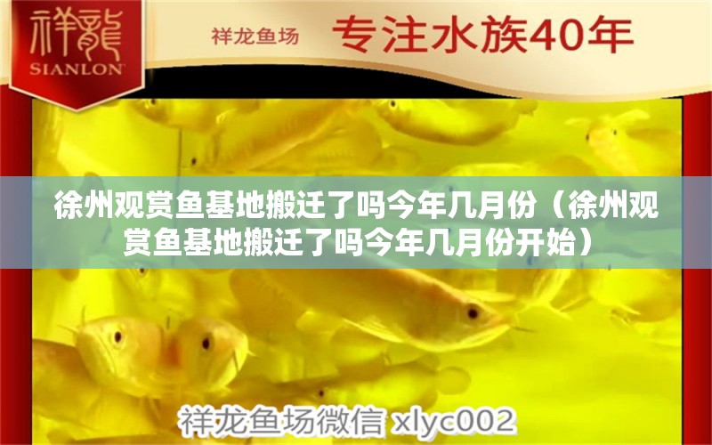 徐州觀賞魚基地搬遷了嗎今年幾月份（徐州觀賞魚基地搬遷了嗎今年幾月份開始）