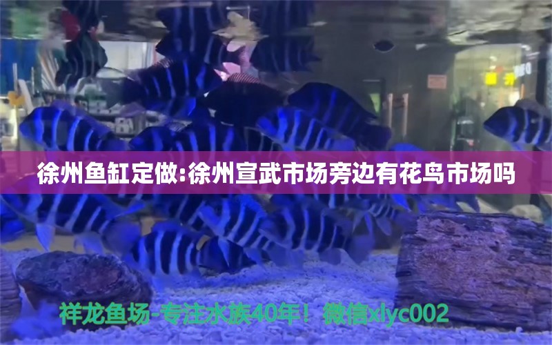 徐州魚缸定做:徐州宣武市場旁邊有花鳥市場嗎 魚缸百科