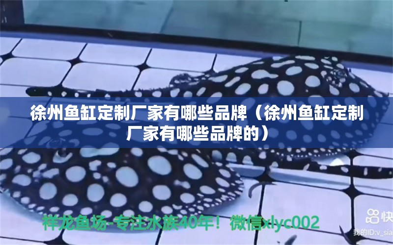 徐州魚缸定制廠家有哪些品牌（徐州魚缸定制廠家有哪些品牌的） 祥龍水族醫(yī)院