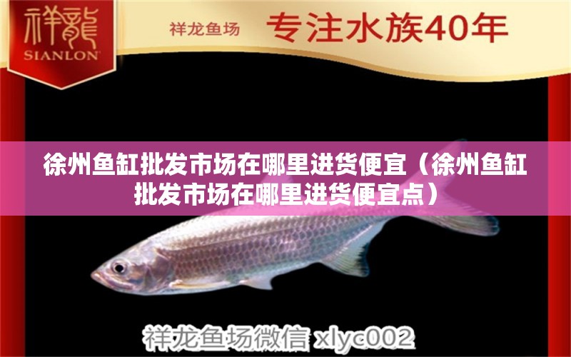 徐州魚缸批發(fā)市場在哪里進貨便宜（徐州魚缸批發(fā)市場在哪里進貨便宜點） 祥龍水族醫(yī)院