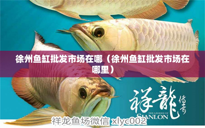 徐州魚缸批發(fā)市場(chǎng)在哪（徐州魚缸批發(fā)市場(chǎng)在哪里） 其他品牌魚缸