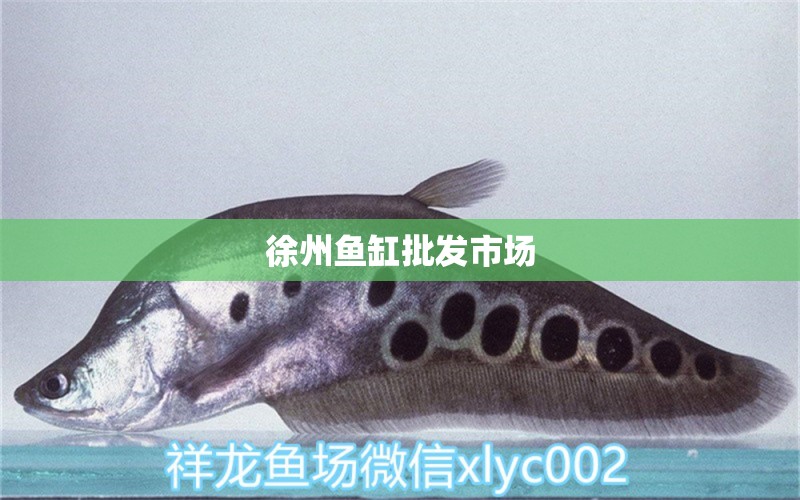 徐州魚缸批發(fā)市場