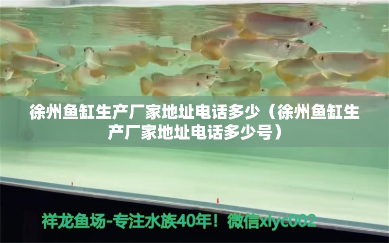 徐州魚缸生產(chǎn)廠家地址電話多少（徐州魚缸生產(chǎn)廠家地址電話多少號）