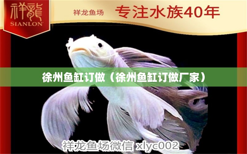 徐州魚缸訂做（徐州魚缸訂做廠家） 狗仔（招財(cái)貓)魚苗