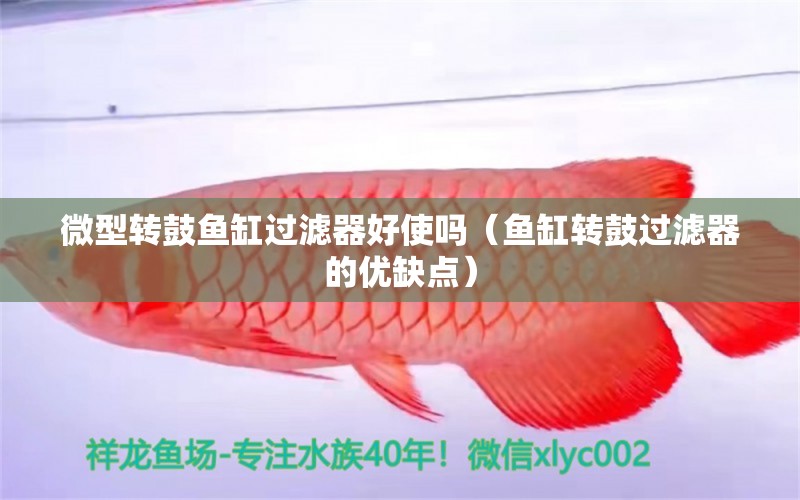 微型轉(zhuǎn)鼓魚缸過濾器好使嗎（魚缸轉(zhuǎn)鼓過濾器的優(yōu)缺點(diǎn)） 觀賞魚市場