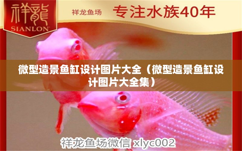 微型造景魚缸設(shè)計(jì)圖片大全（微型造景魚缸設(shè)計(jì)圖片大全集）